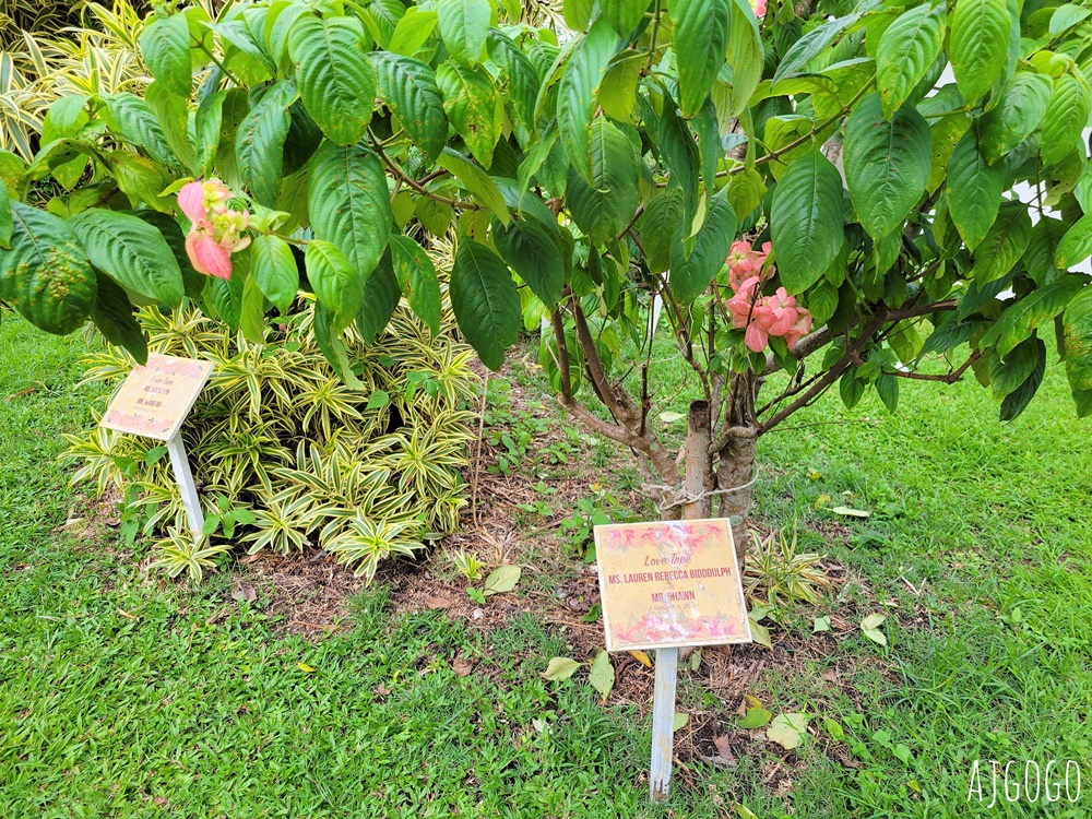 普吉島維特度假村 The Vijitt Resort Phuket 拉威海灘旁的五星級渡假村 無邊際泳池很厲害