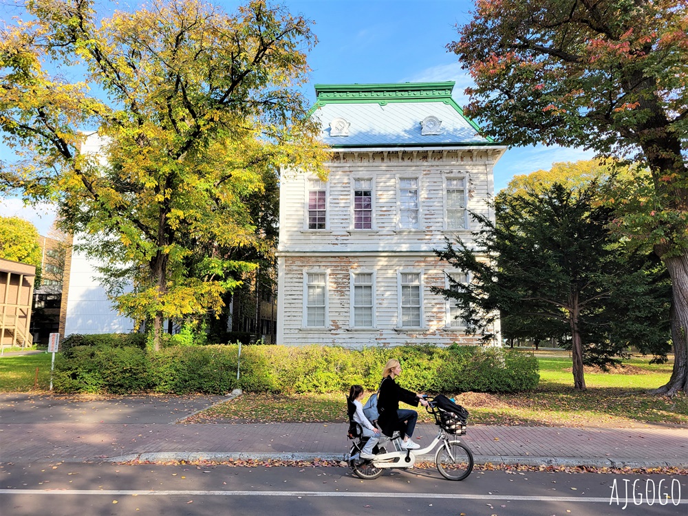 北海道大學銀杏大道 北海道旅遊推薦 每年10月底、11月初變身為金黃大道