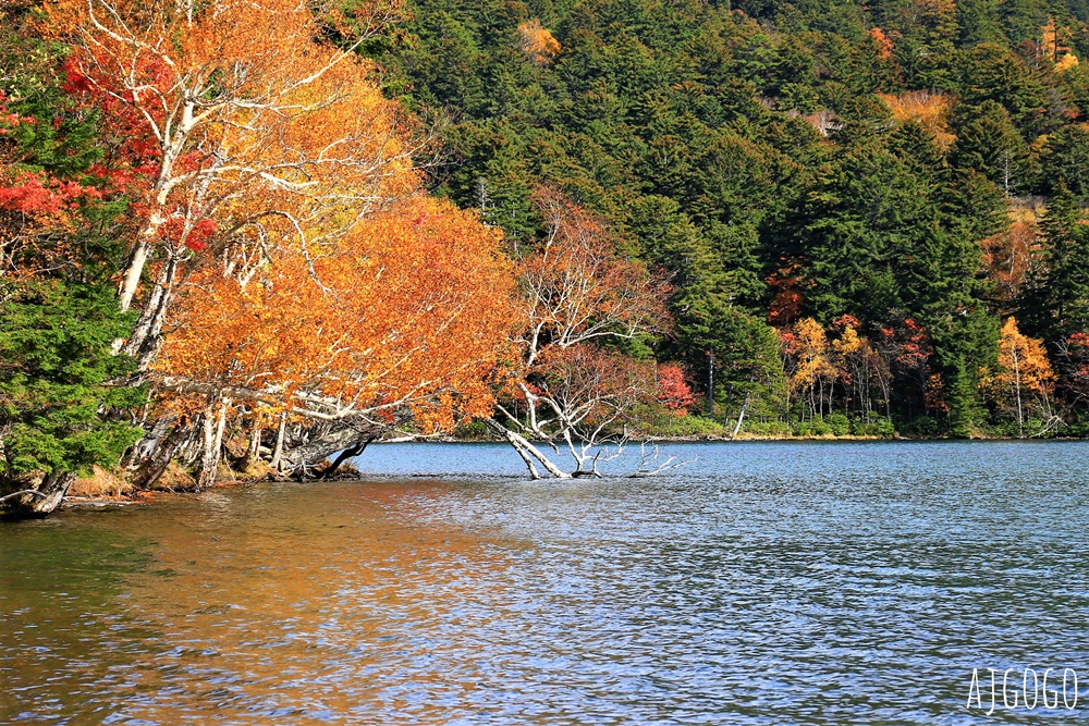 足寄五色湖 / 遠內多湖 北海道三大秘湖之一 僅春、夏、秋季開放的秘境景點