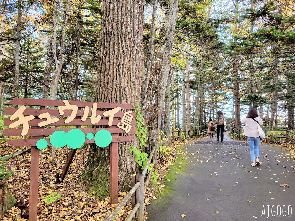 阿寒湖蒸氣遊船之旅 漫遊秋天的阿寒湖 登上綠球藻研究中心