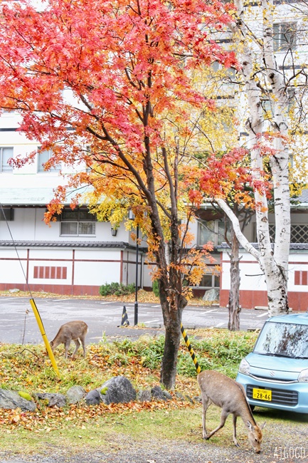 層雲峽溫泉大雪飯店 日式客房一泊二食 3座風格迴異的溫泉浴場隨你泡