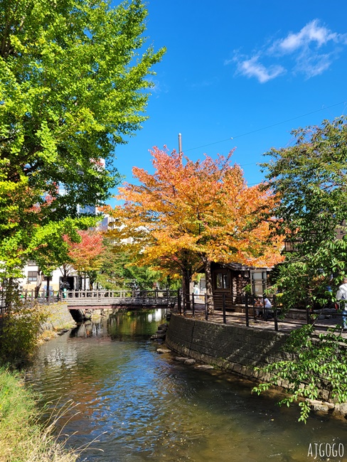 2024札幌住宿推薦 東急札幌卓越大飯店 標準雙人房、早餐 中島公園旁的好飯店