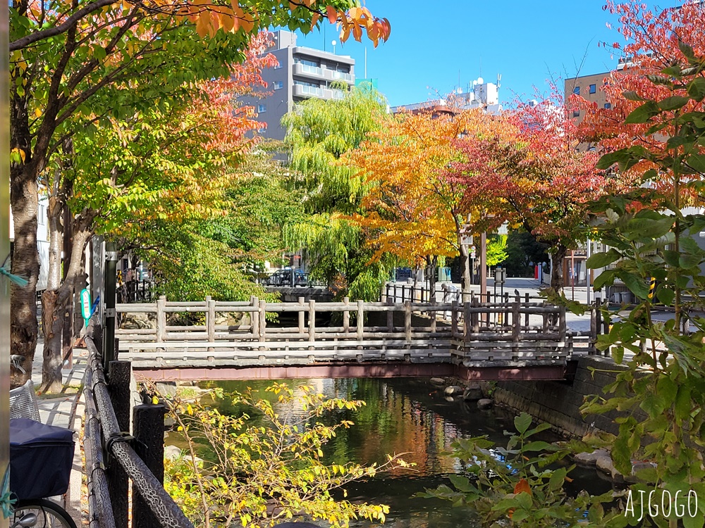 2024札幌住宿推薦 東急札幌卓越大飯店 標準雙人房、早餐 中島公園旁的好飯店