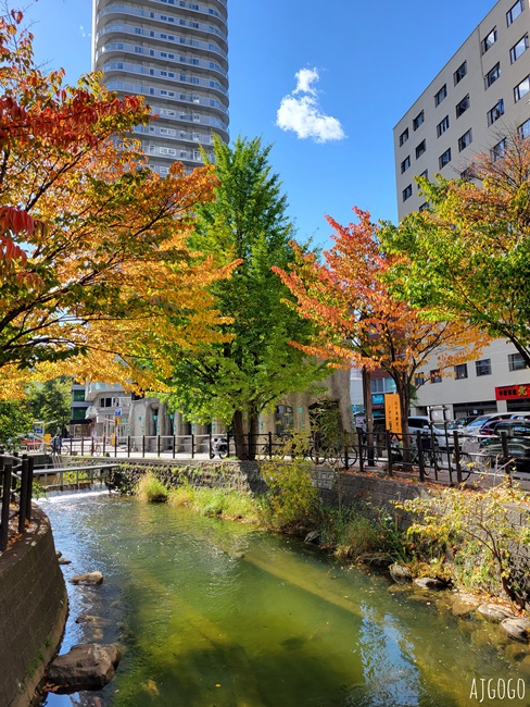 2024札幌住宿推薦 東急札幌卓越大飯店 標準雙人房、早餐 中島公園旁的好飯店