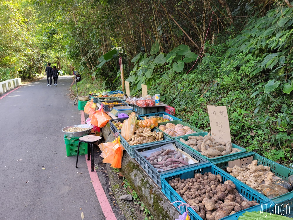 滿月圓國家森林遊樂區 好走的親子森林步道 沿著溪谷找大瀑布 便宜門票