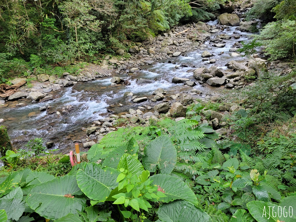 滿月圓國家森林遊樂區 好走的親子森林步道 沿著溪谷找大瀑布 便宜門票