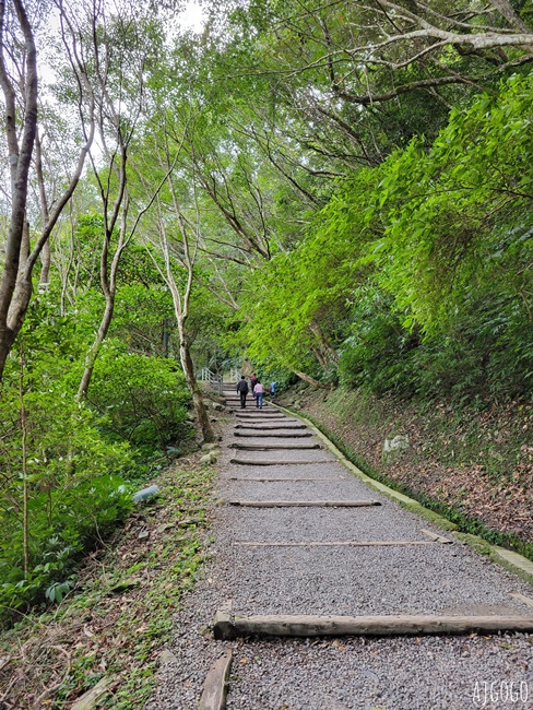 滿月圓國家森林遊樂區 好走的親子森林步道 沿著溪谷找大瀑布 便宜門票