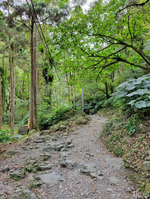 滿月圓國家森林遊樂區 好走的親子森林步道 沿著溪谷找大瀑布 便宜門票