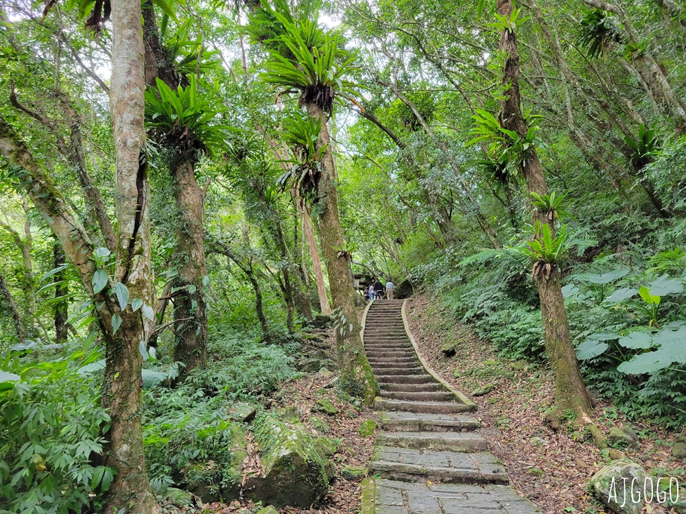 滿月圓國家森林遊樂區 好走的親子森林步道 沿著溪谷找大瀑布 便宜門票