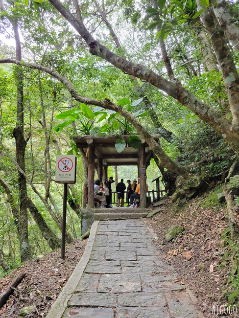 滿月圓國家森林遊樂區 好走的親子森林步道 沿著溪谷找大瀑布 便宜門票