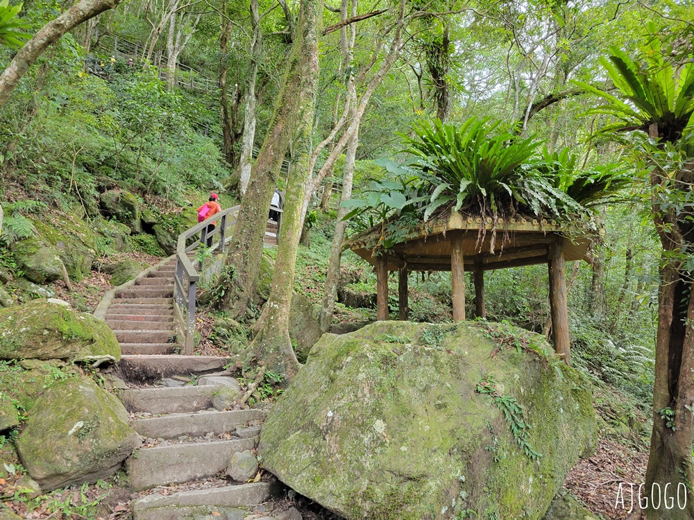 滿月圓國家森林遊樂區 好走的親子森林步道 沿著溪谷找大瀑布 便宜門票