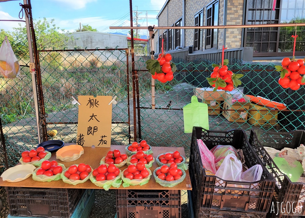 桃園三坑老街美食：三坑老客棧東海堂 客家菜、阿香菜包、老街豆花