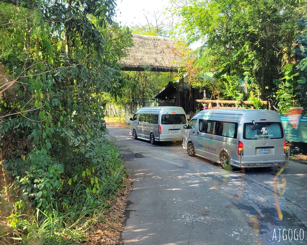 2025曼谷景點 賽福瑞野生動物園Safari World一日遊 巴士接送、自助午餐吃到飽