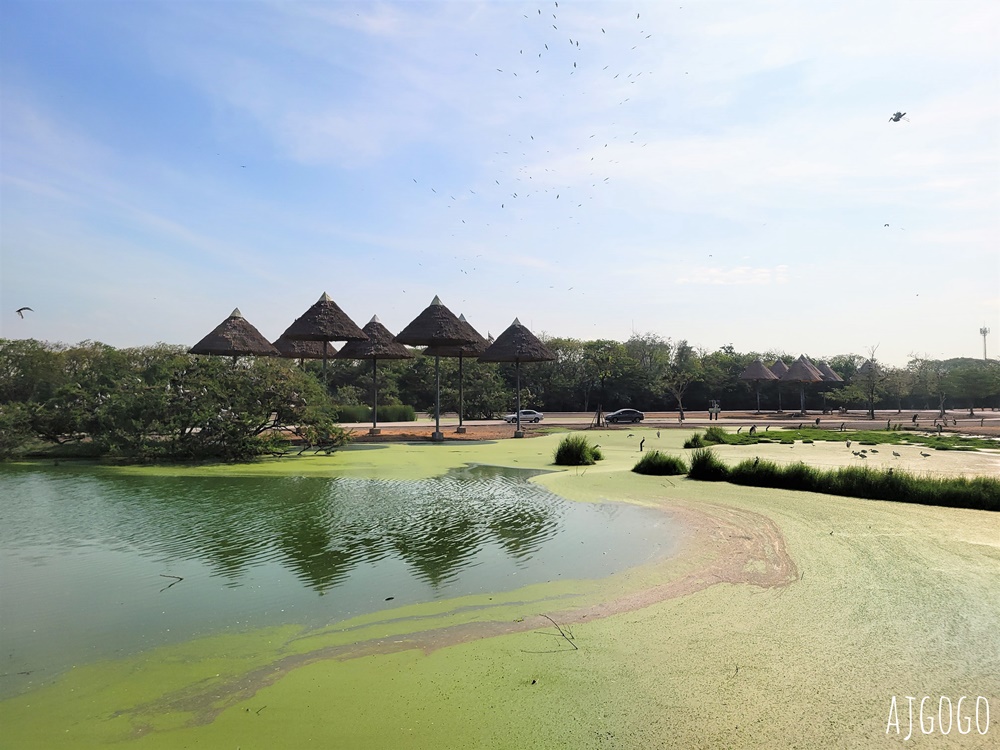 2025曼谷景點 賽福瑞野生動物園Safari World一日遊 巴士接送、自助午餐吃到飽