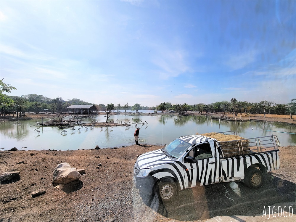 2025曼谷景點 賽福瑞野生動物園Safari World一日遊 巴士接送、自助午餐吃到飽