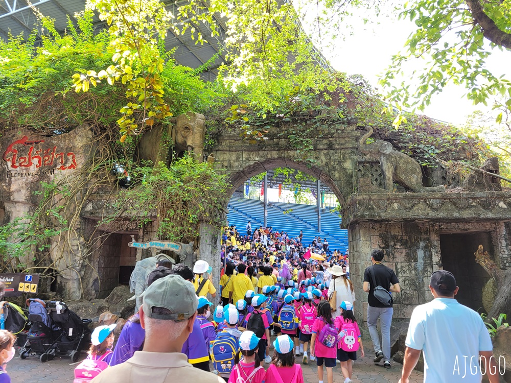 2025曼谷景點 賽福瑞野生動物園Safari World一日遊 巴士接送、自助午餐吃到飽