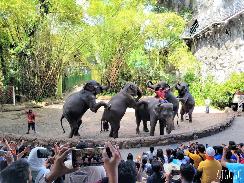 2025曼谷景點 賽福瑞野生動物園Safari World一日遊 巴士接送、自助午餐吃到飽