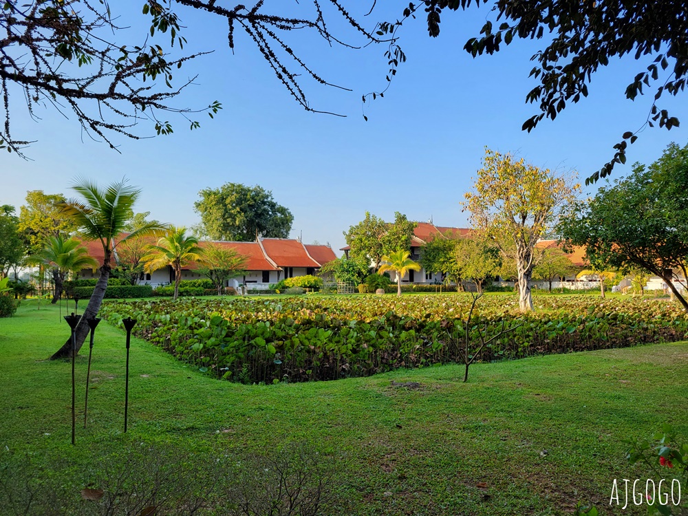 Sriwilai Sukhothai Resort & Spa 素可泰飯店推薦 高級雙人房、早餐 近素可泰歷史公園