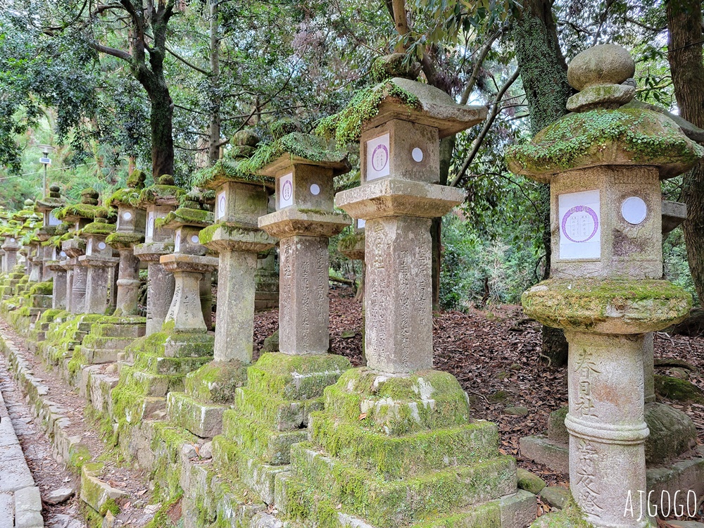 日本關西近鐵電車周遊券 怎麼買、怎麼搭車 安排京都、奈良一日遊剛好