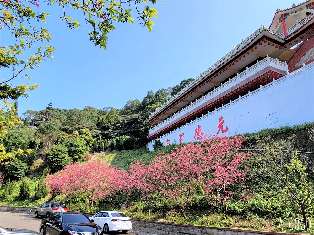 龜山元德寶宮 桃園賞櫻景點 八重櫻小徑 每年2月中盛開