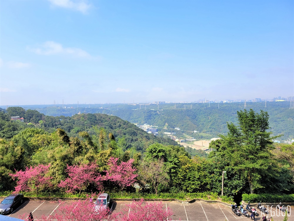 龜山元德寶宮 桃園賞櫻景點 八重櫻小徑 每年2月中盛開