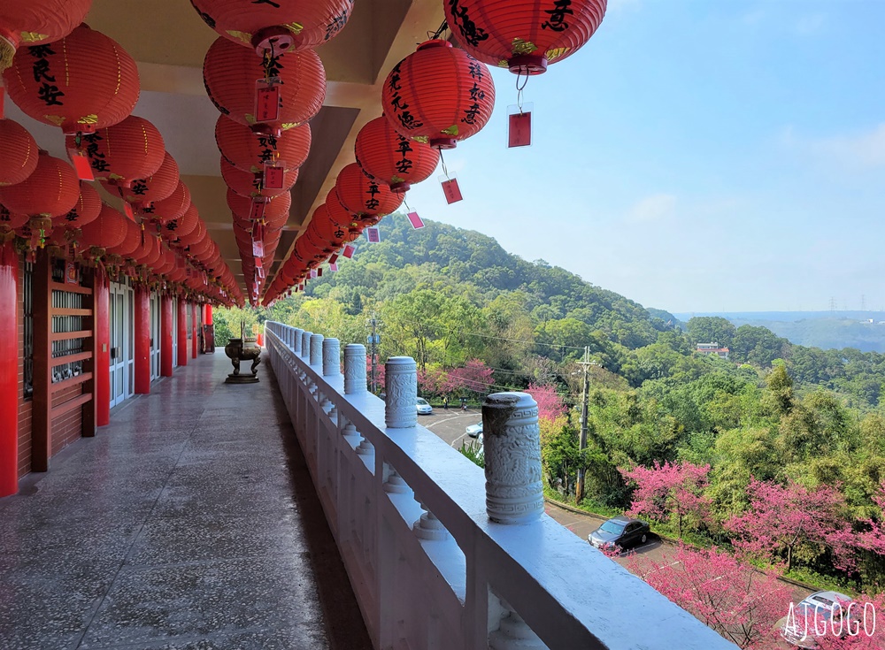 龜山元德寶宮 桃園賞櫻景點 八重櫻小徑 每年2月中盛開