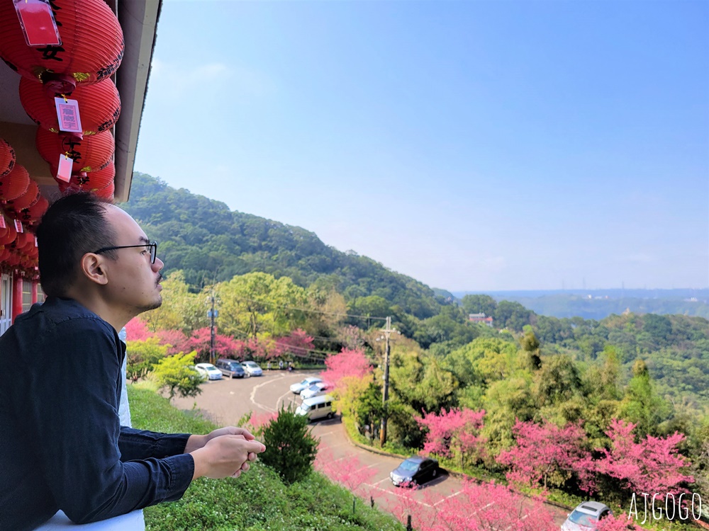 龜山元德寶宮 桃園賞櫻景點 八重櫻小徑 每年2月中盛開