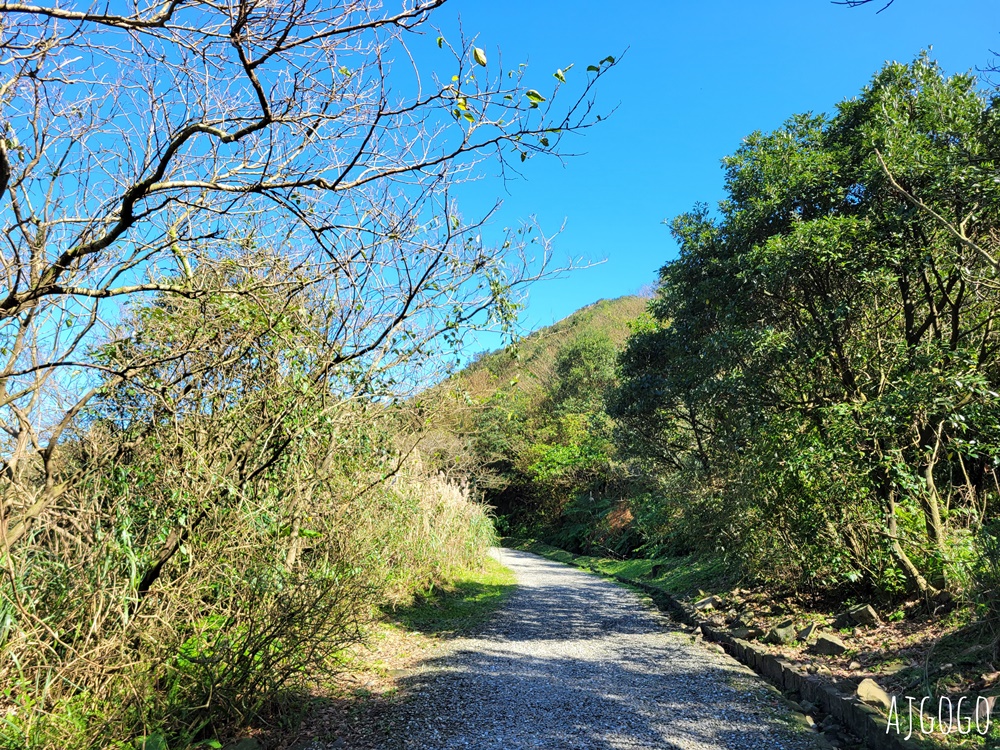 2025九份景點 金瓜石地質公園 絕美登山步道 山海景一次給你