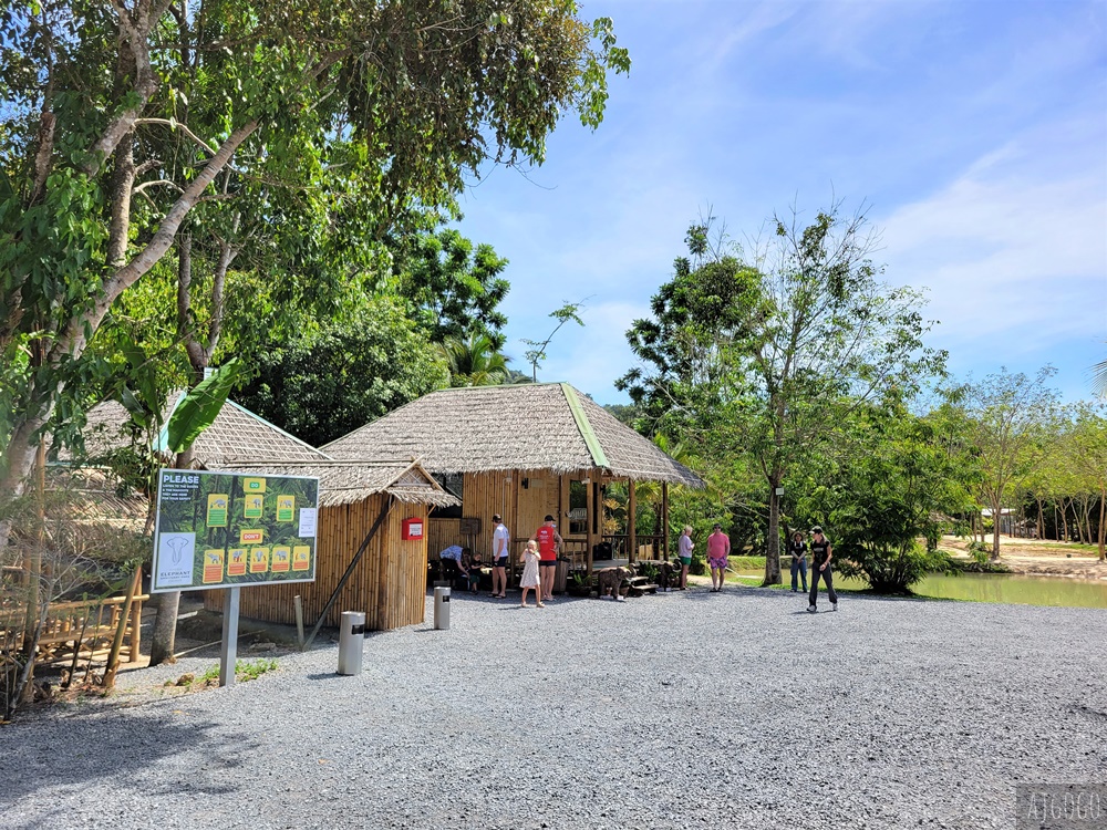 普吉島 綠色大象保護區公園 走進森林餵大象、幫大象洗澡