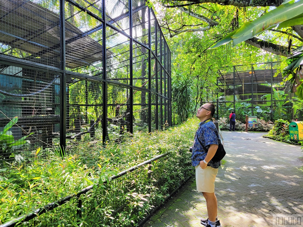 馬來西亞國家動物園 Zoo Negara Malaysia 吉隆坡近郊景點