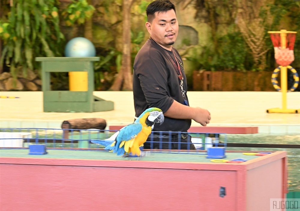 馬來西亞國家動物園 Zoo Negara Malaysia 吉隆坡近郊景點