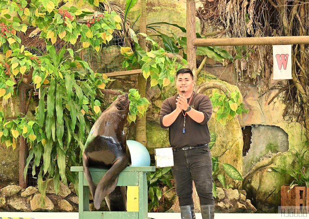 馬來西亞國家動物園 Zoo Negara Malaysia 吉隆坡近郊景點