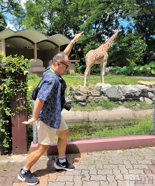 馬來西亞國家動物園 Zoo Negara Malaysia 吉隆坡近郊景點