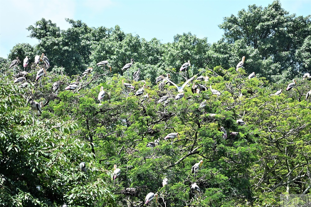 馬來西亞國家動物園 Zoo Negara Malaysia 吉隆坡近郊景點