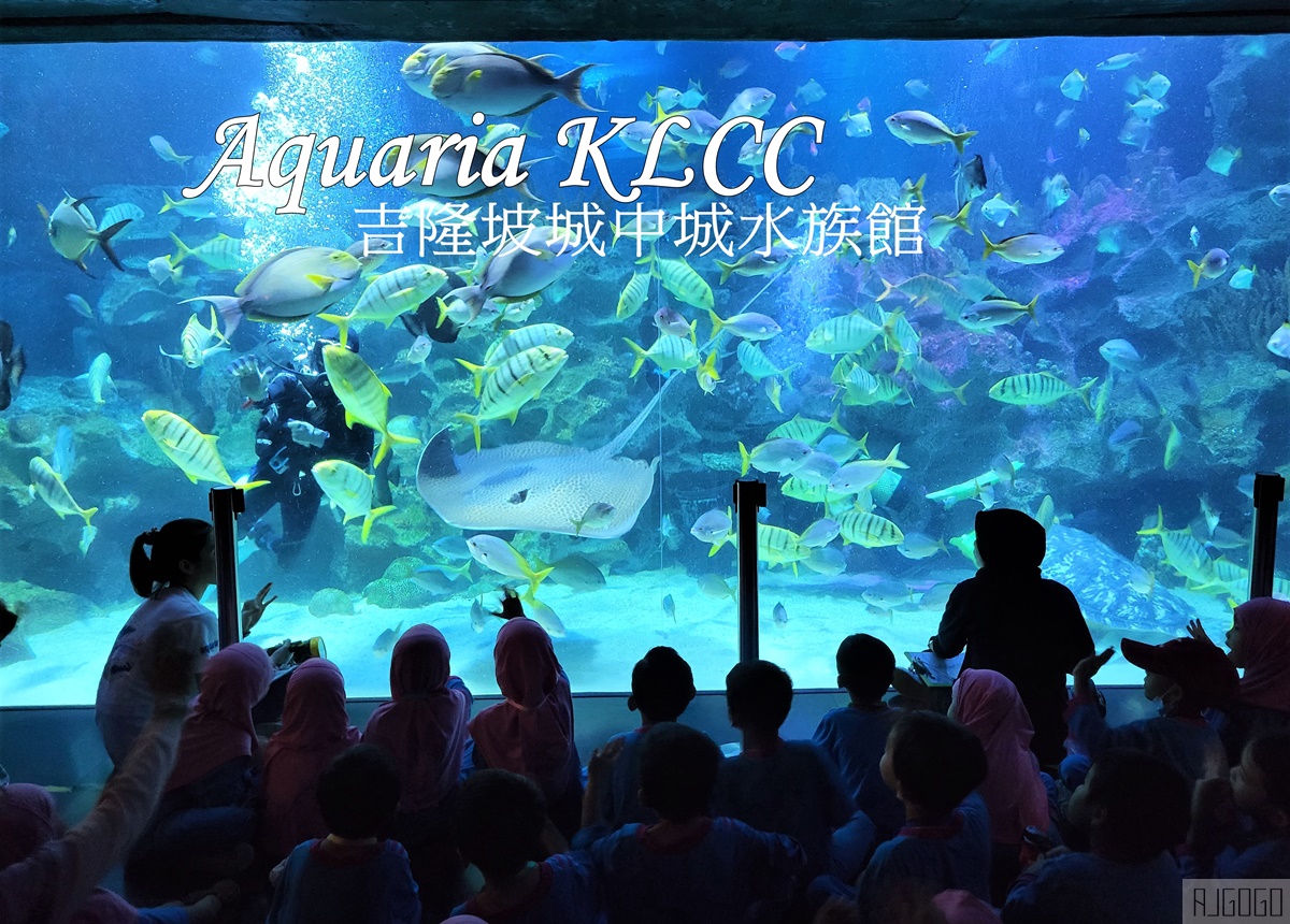 馬來西亞城中城水族館 吉隆坡市中心的城市水族館