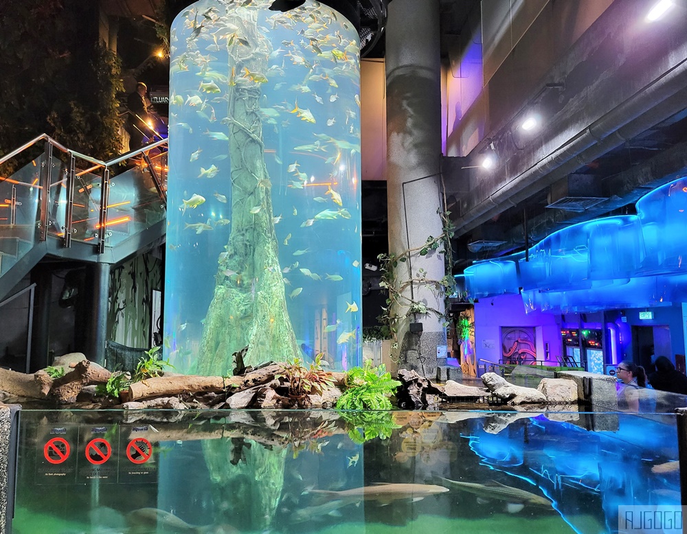 馬來西亞城中城水族館 吉隆坡市中心的城市水族館