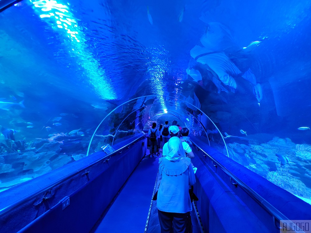 馬來西亞城中城水族館 吉隆坡市中心的城市水族館