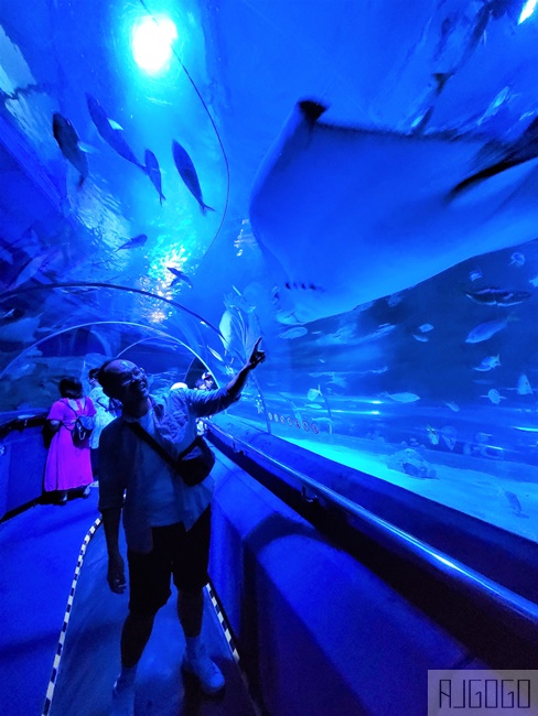 馬來西亞城中城水族館 吉隆坡市中心的城市水族館