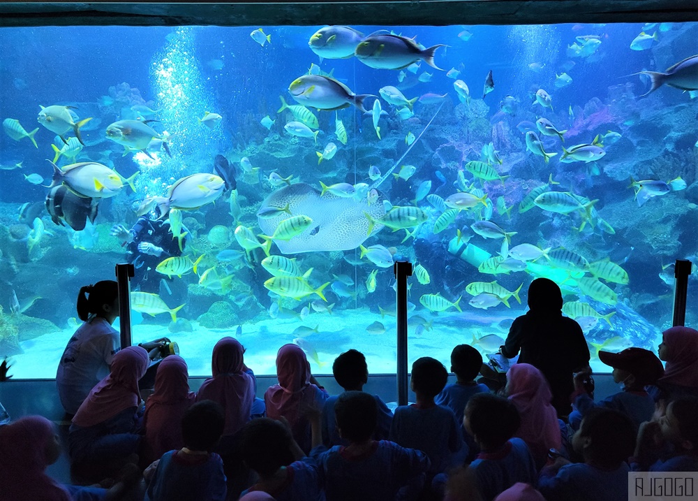 馬來西亞城中城水族館 吉隆坡市中心的城市水族館