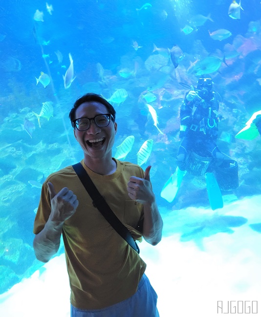 馬來西亞城中城水族館 吉隆坡市中心的城市水族館