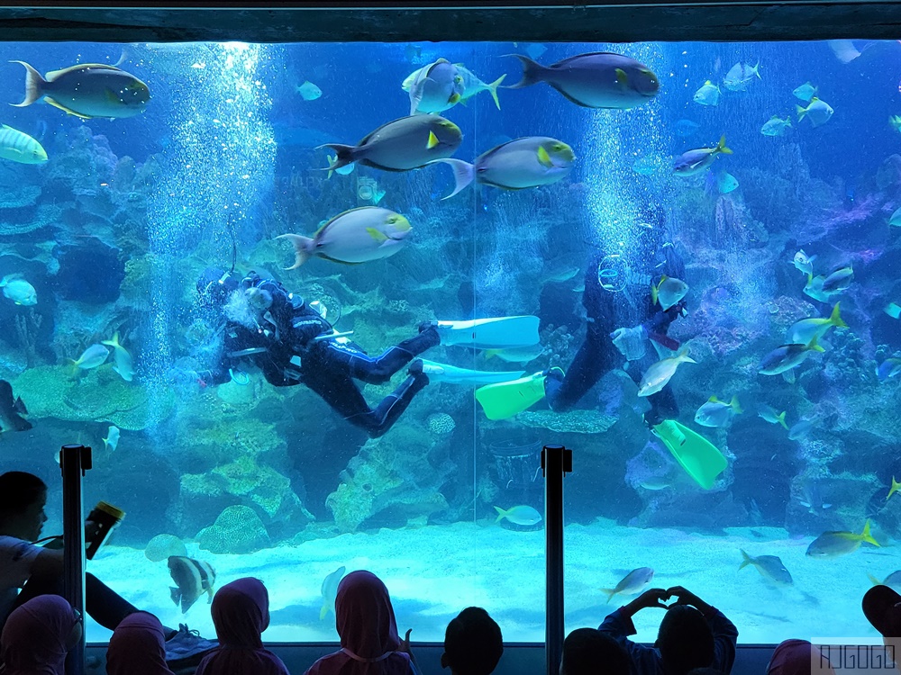 馬來西亞城中城水族館 吉隆坡市中心的城市水族館