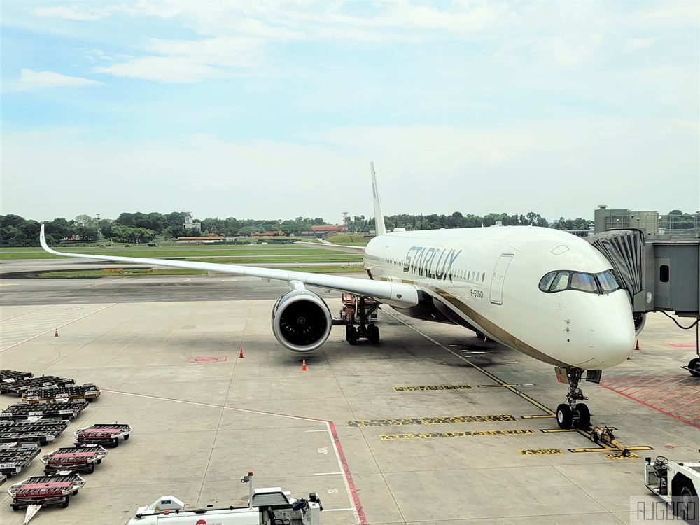 星宇航空 新加坡-桃園 A350經濟艙飛機餐 JX732簡單開箱