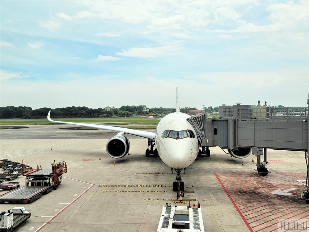 星宇航空 新加坡-桃園 A350經濟艙飛機餐 JX732簡單開箱