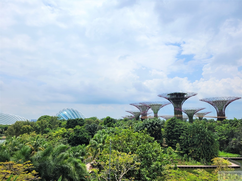 2025新加坡景點 濱海灣花園 花穹、雲霧林、超級樹、奇幻花園