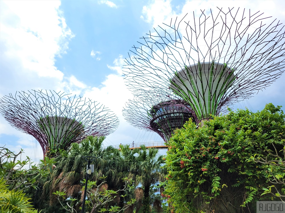 2025新加坡景點 濱海灣花園 花穹、雲霧林、超級樹、奇幻花園