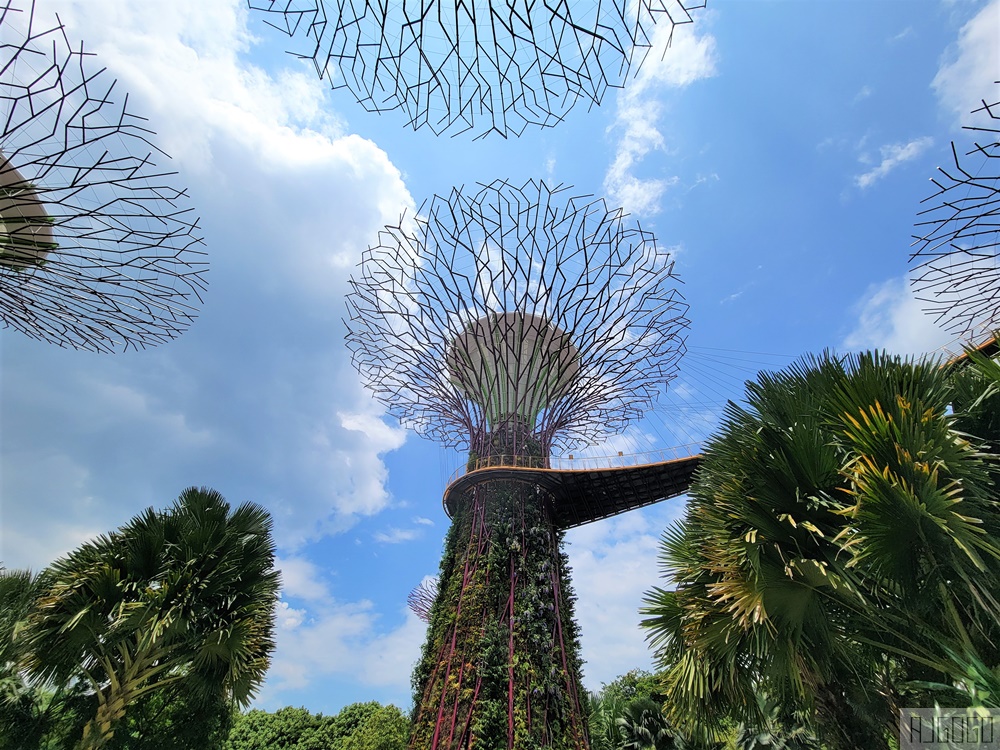 2025新加坡景點 濱海灣花園 花穹、雲霧林、超級樹、奇幻花園