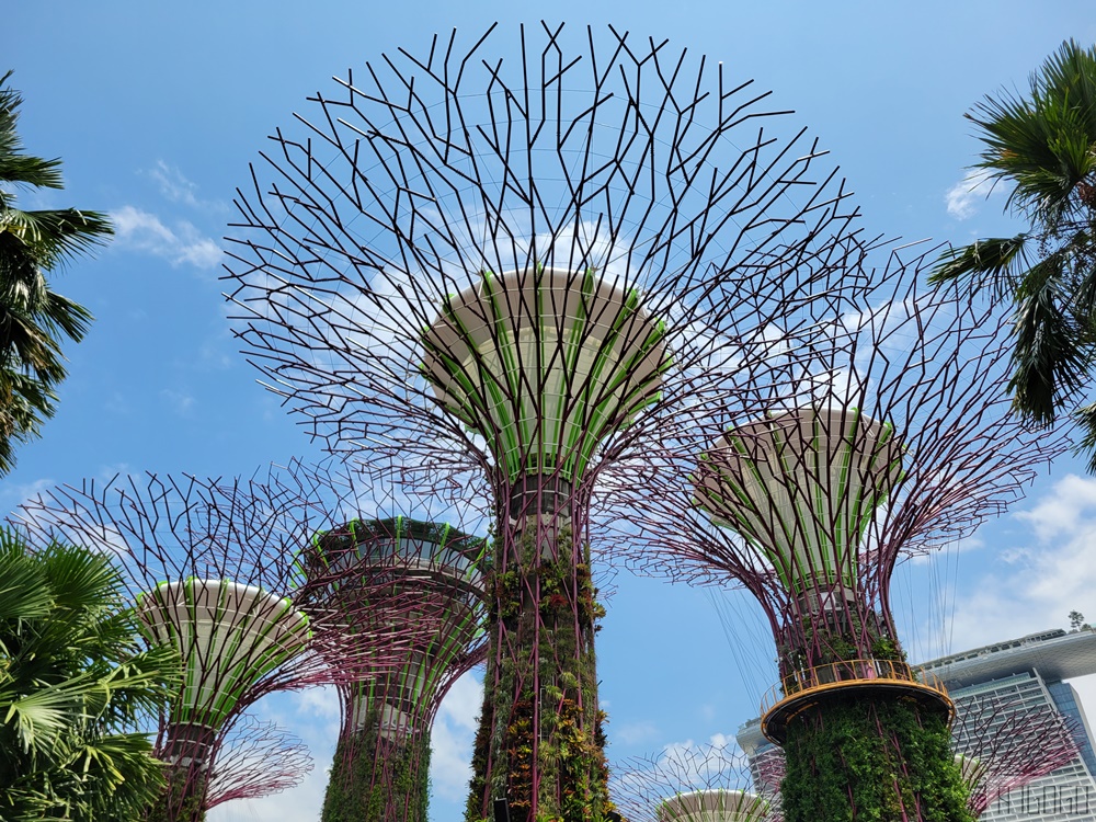 2025新加坡景點 濱海灣花園 花穹、雲霧林、超級樹、奇幻花園