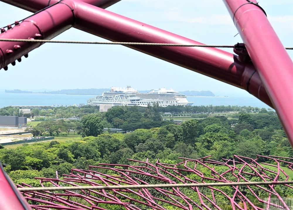 2025新加坡景點 濱海灣花園 花穹、雲霧林、超級樹、奇幻花園