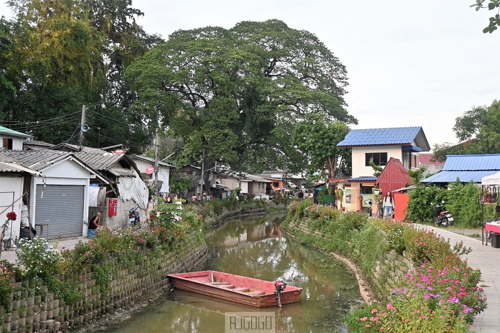 2024清邁 湄卡運河市集 Khlong Mae Kha 古護城河改造日泰混搭風格夜市