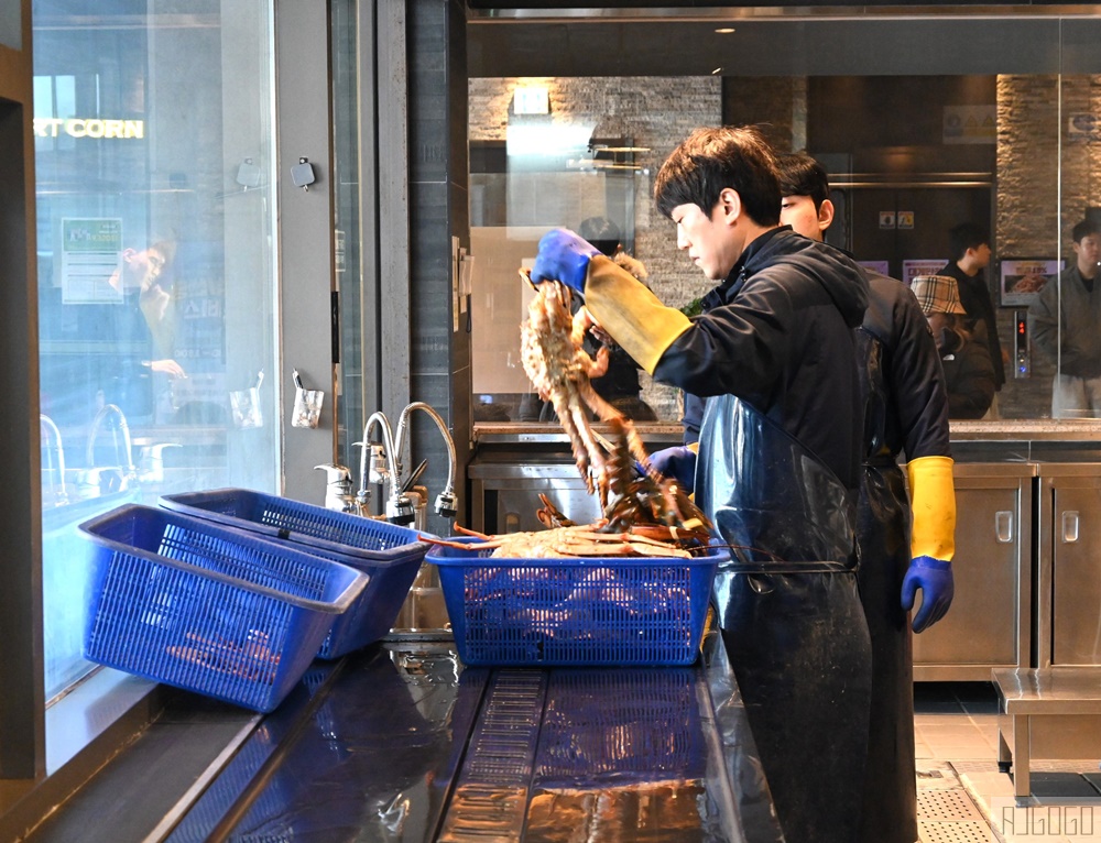 釜山 現撈雪場蟹市場 대게만찬 平日雪場蟹定食很划算